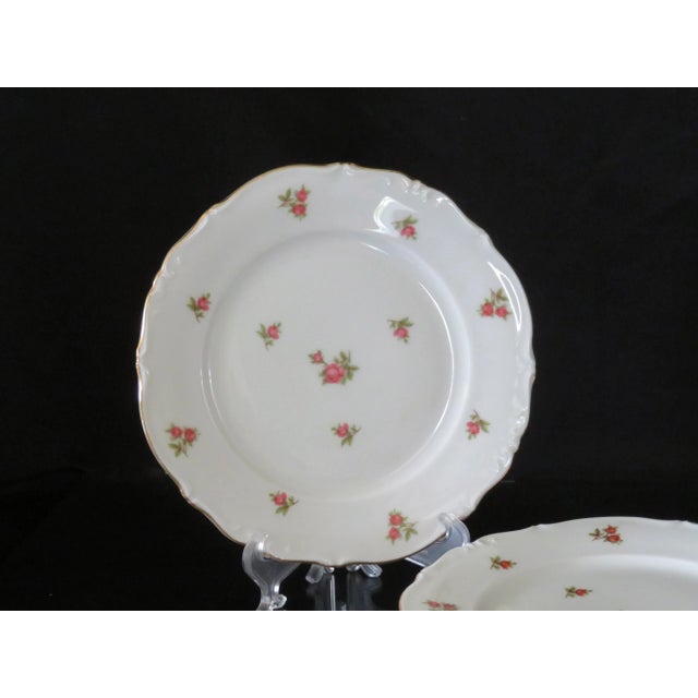 Traditional Vintage Bavarian Scattered Rose Pattern Gold Rimmed Salad Plates - Set of 4 For Sale - Image 3 of 6