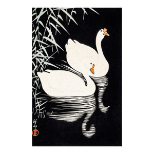 White Chinese Geese Swimming, Vintage Japanese Woodblock Print Reproduction, 16" X 24"