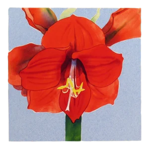 Gary Bukovnik, Amaryllis, 1998