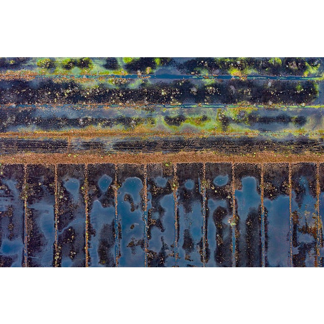 "The_Bog_Renatured_006" Contemporary Limited Edition Fine Art Photograph Print by Bernhard Lang For Sale