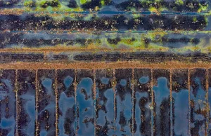 "The_Bog_Renatured_006" Contemporary Limited Edition Fine Art Photograph Print by Bernhard Lang