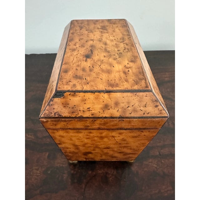 19th Century English Regency Tea Caddy With Faux Tortoise Shell Interior Compartment Top For Sale - Image 4 of 11