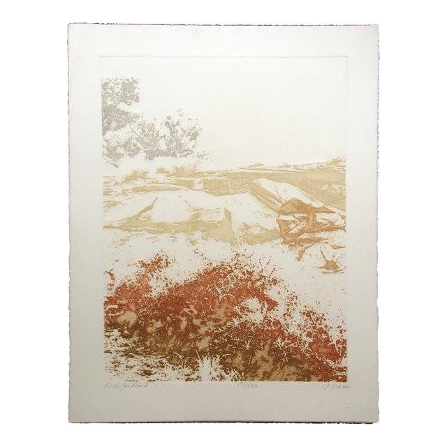 1980s Paula Crane "Rock Garden I" Hand Signed LTD Ed Art Etching For Sale