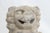 Foo Dog Statue For Sale - Image 4 of 13