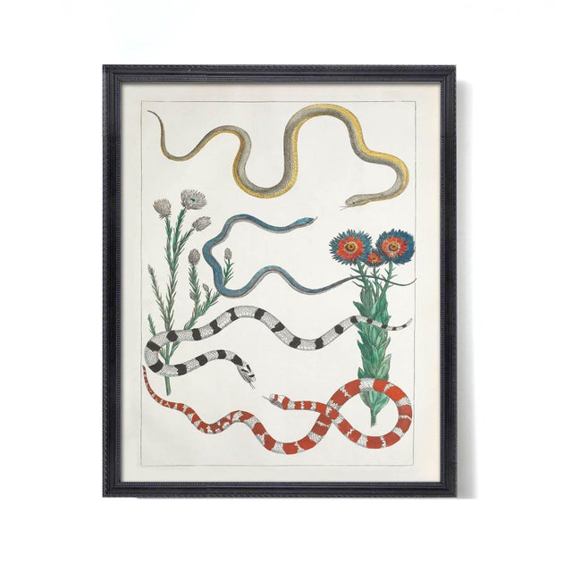 Colorful Southwest Snakes and Botanical Giclée For Sale In Los Angeles - Image 6 of 7
