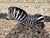 1960s Italian Glazed Terracotta Zebra Sculpture For Sale - Image 12 of 12