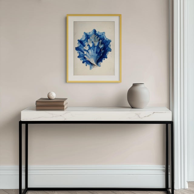 Set of 8 – Blue and White Conch Shells Collection | Coastal Natural History Fine Art Prints For Sale - Image 10 of 18