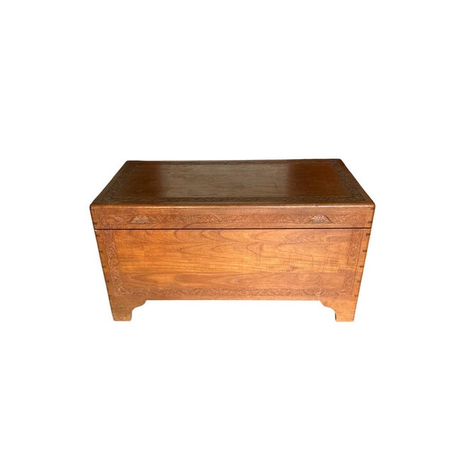 Brown Camphor Wood Blanket Chest, 1950 For Sale - Image 8 of 14