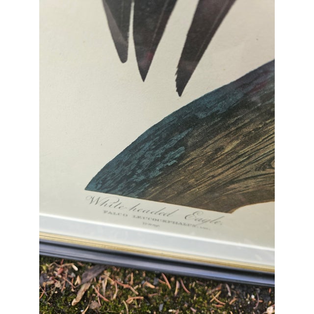 1980s Striking Vintage J J Audubon Print of the White Headed Eagle For Sale - Image 5 of 5