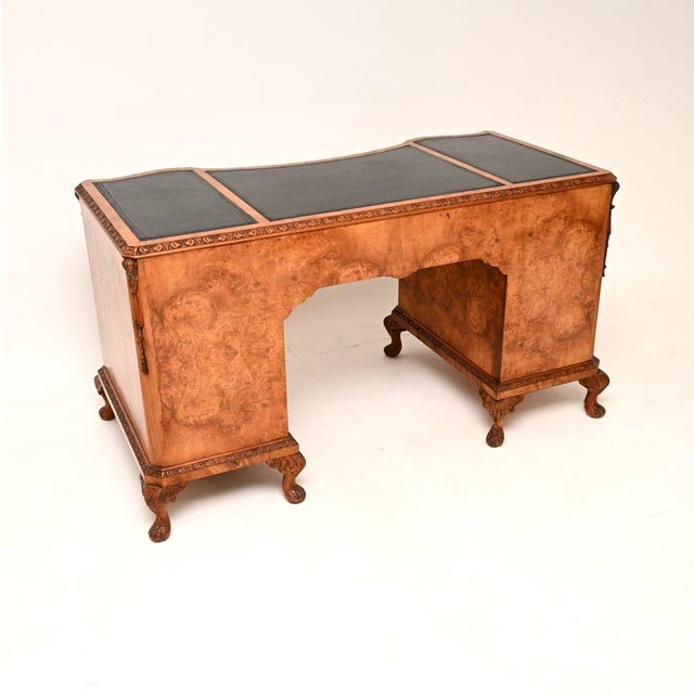 Black Antique Burr Walnut Pedestal Desk with Leather Top, 1900 For Sale - Image 8 of 11