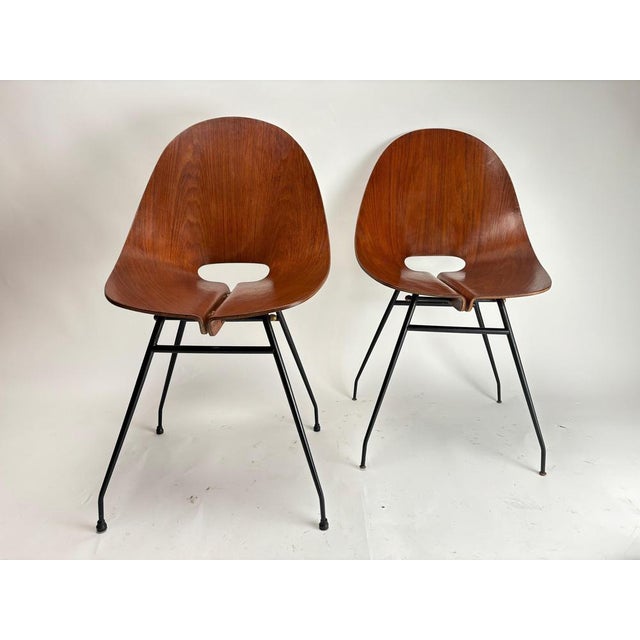 Mid-Century Modern Bent Plywood Chairs by Carlo Ratti, Italy, 1950s, Set of 4 For Sale - Image 17 of 18
