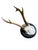 Cabin Roe Deer Trophy 207 Black Forest Antlers For Sale - Image 3 of 5
