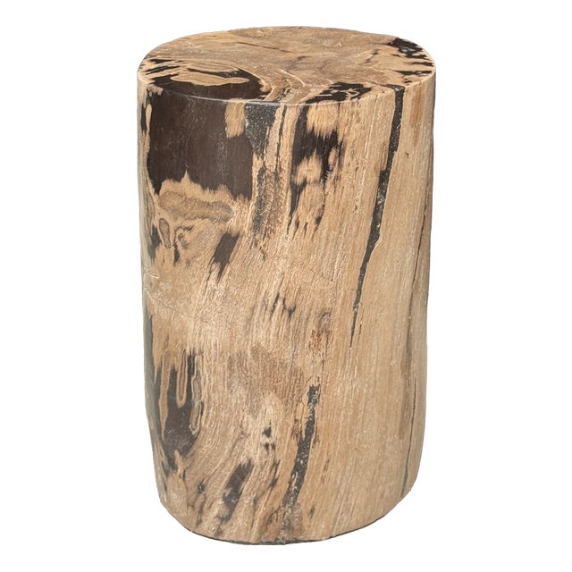 Side Table in Brown and Black Petrified Wood, 1980s For Sale