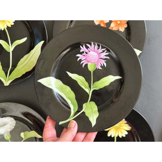 Black Fitz and Floyd Black Floral Dessert or Salad Plate Dish Set of 6 For Sale - Image 8 of 12