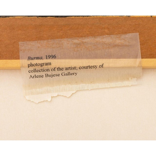 1990s Anne Sager "Burma" Landscape Photogram For Sale - Image 5 of 5