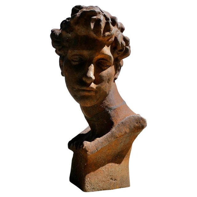1960s Cast Iron Bust of Michelangelos David, 1960 For Sale - Image 5 of 5