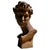 1960s Cast Iron Bust of Michelangelos David, 1960 For Sale - Image 5 of 5