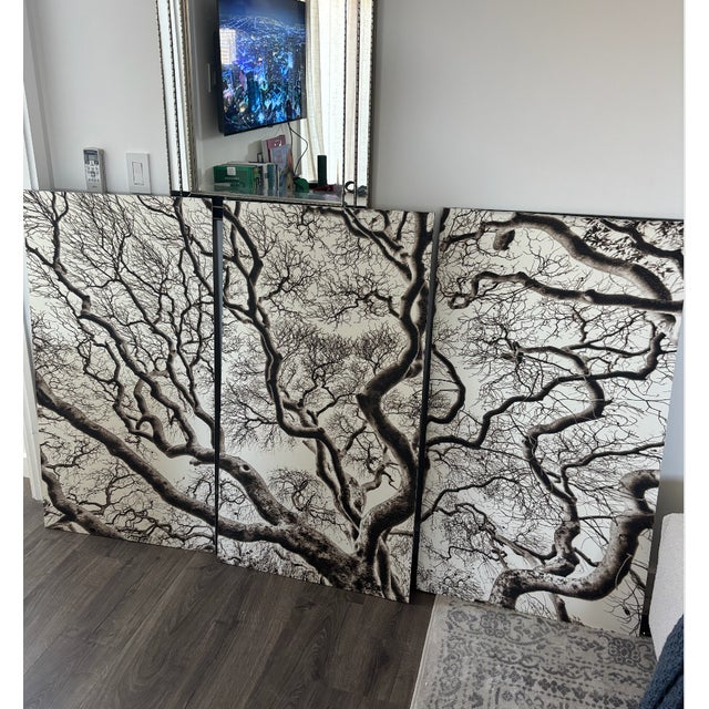 2010s Russ Eddy's "Buck-Eye" Three Panel Installation, Framed- Set of 3 For Sale - Image 5 of 6