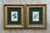 This striking pair of late 19th-century botanical illustrations offers a masterful blend of Victorian opulence and natural...