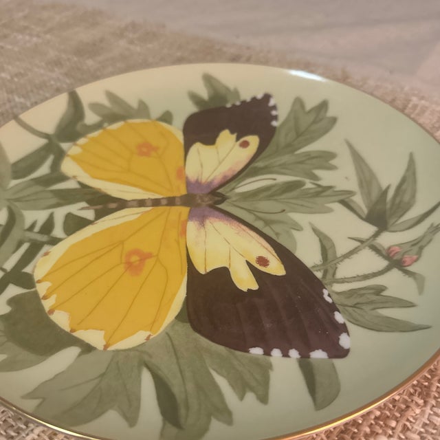 1970s 1970s Stanley Galli Butterfly Decorative Plate With Gold Trim For Sale - Image 5 of 5