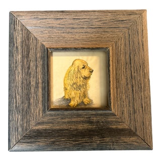 1970’s Small Cocker Spaniel Watercolor / Pencil Drawing For Sale