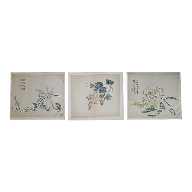 Vintage Signed Chinese Botanical Color Lithographs - Set of 3 For Sale