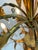 Mid 20th Century Italian Gilt Tole and Crystals Electric Candelabra Lamp For Sale - Image 13 of 18