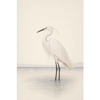 White Egret Coastal Study, Neutral Bird Wall Art Print, 32" X 48" For Sale
