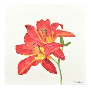 Hemerocallis - Original Oil on Canvas by Marzia Trinca - 2019 2019