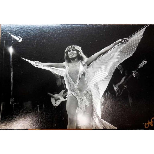 Hatay is a visual artist, a healer and a former Rock and Roll photojournalist. Born in Scotland of a Hungarian...