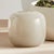Kenneth Ludwig Chicago Melora Vase Small For Sale - Image 4 of 5