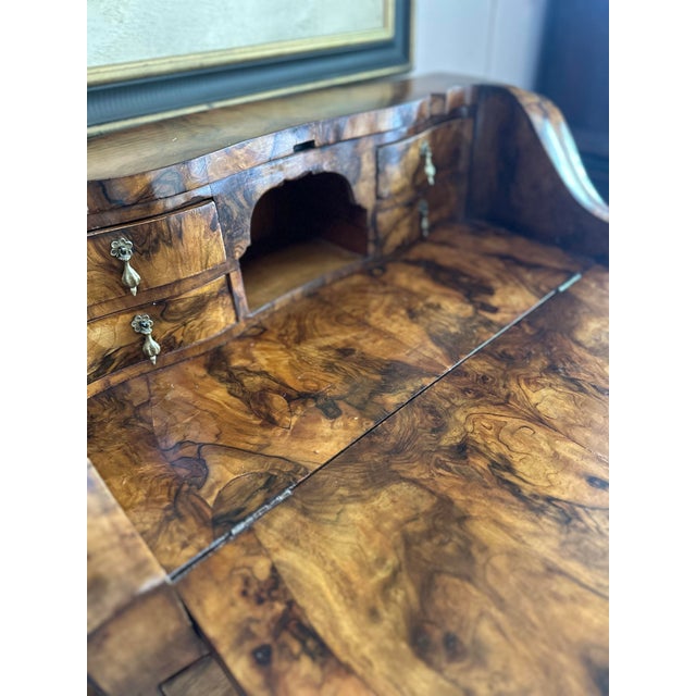 Queen Anne Antique Burr Walnut Fall-Front Bureau Desk in the Queen Anne Revival Style For Sale - Image 3 of 9