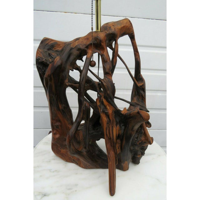 Mid Century Modern Natural Driftwood Tree Root Table Lamp Chairish