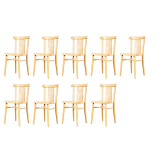 Blonde Bentwood Dining Chairs from TON, 1960s, Set of 9 For Sale