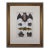 19th Century Antique Hand Colored Bat Engraving by Goldsmith For Sale