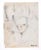 Portrait of Boy is an original artwork realized by Jean Dreyfus-Stern in the half of the XX Century. Original drawing on...