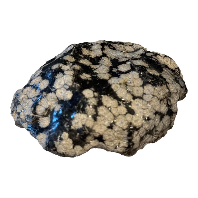 Snowflake Obsidian For Sale