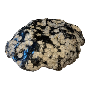 Snowflake Obsidian