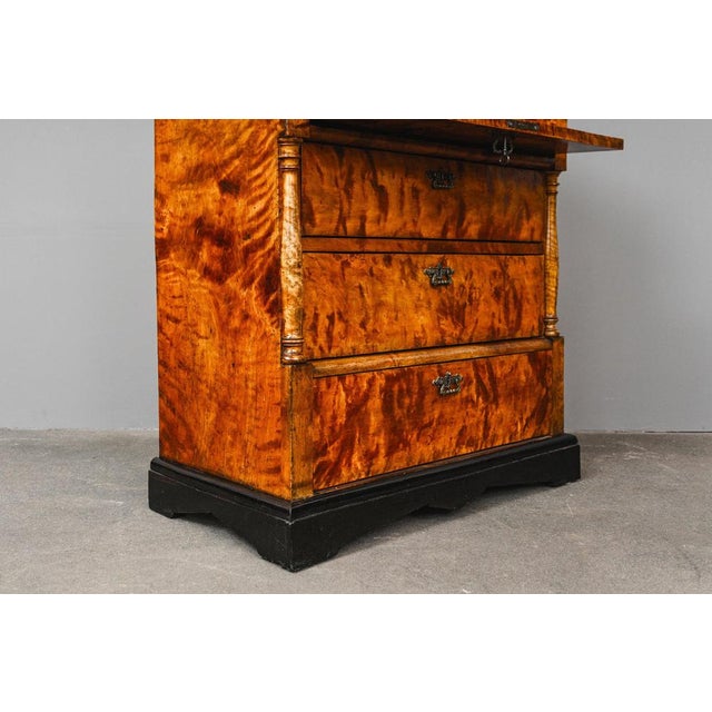 Biedermeier Chest of Drawers For Sale - Image 9 of 18