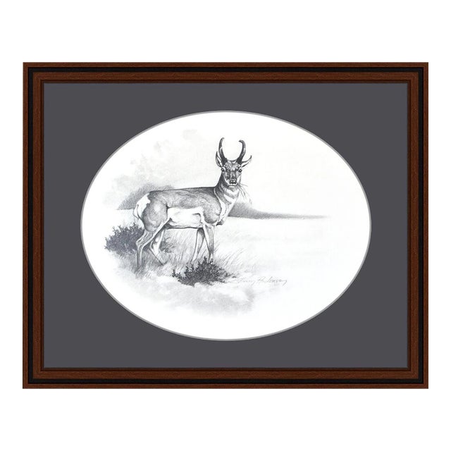 Late 20th Century Pronghorn, Sharon Anderson For Sale