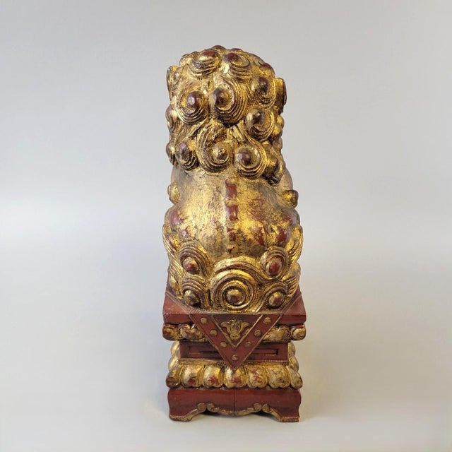 Early Giltwood Chinese Guardian Lion Foo Dog Architectural Carving – 12" High For Sale - Image 10 of 12