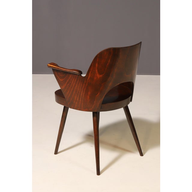 Brown Chair by Oswald Haerdtl for Ton, 1960s For Sale - Image 8 of 13
