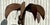 Vintage Monumental Patinated Metal Palm Tree For Sale - Image 11 of 12