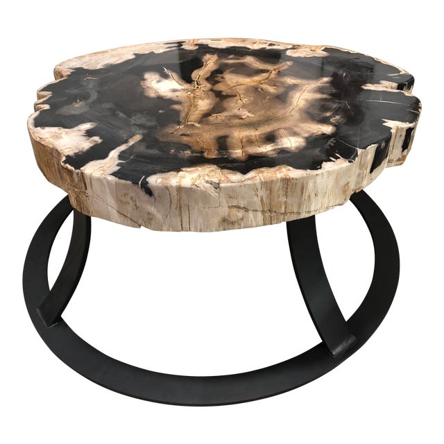 Organic Modern Petrified Wood Geode Slice Coffee Table