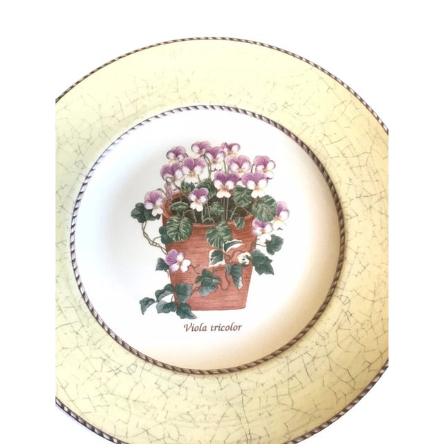 Traditional Vintage 1997 Mixed Wedgwood Sarahs Garden Queens Ware England Salad Plates - Set of 7 For Sale - Image 3 of 7