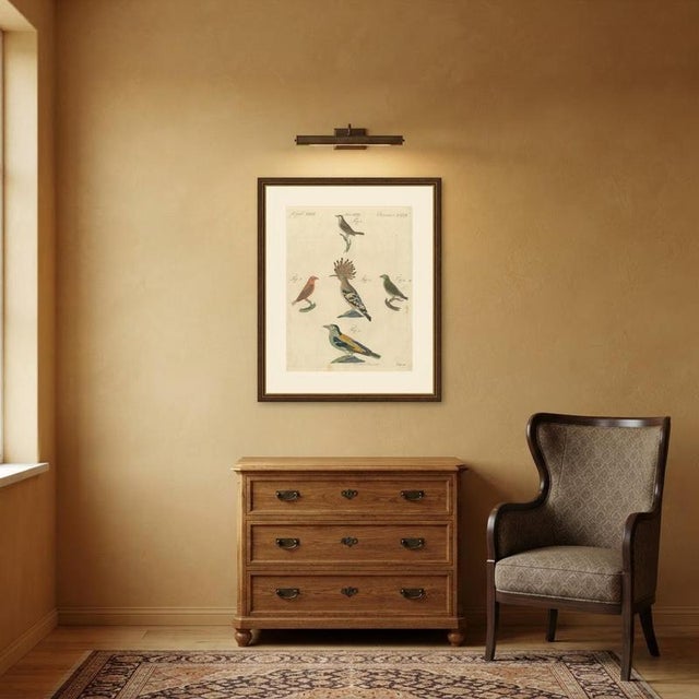 Bertuch, Hoopoe, Roller and Crossbills, 1805, Print For Sale - Image 11 of 12