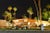 Palm Springs Midnight by Kelly & Fred, 24" x 36" Unframed Palm Springs Midnight by Kelly & Fred Print, 24" x 36"