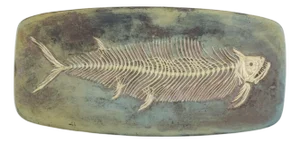 Colossal Ceramic Platter with Fish Skeleton Motif from Hans Hedberg, France, 1970s