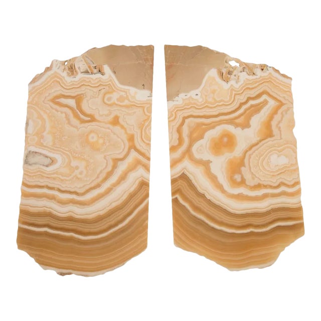 Phillips Collection Butterfly Lamp, Onyx For Sale