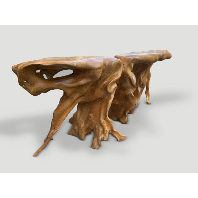 Andrianna Shamaris Monumental Sculptural Teak Root Console Table For Sale - Image 16 of 18